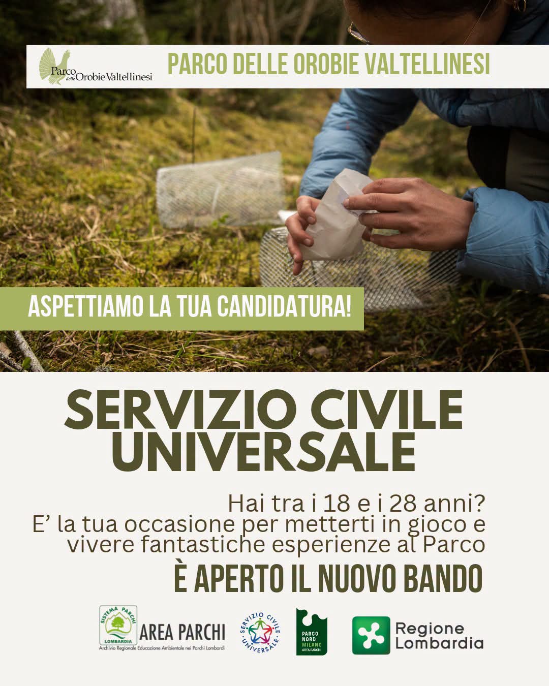 Immagine anteprima